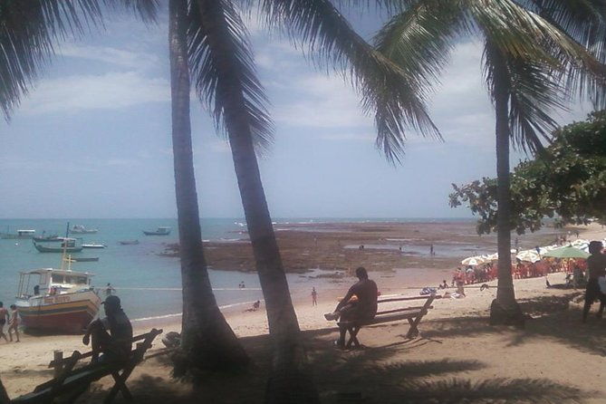 coconut-coast-and-praia-do-forte-the-famous-beaches