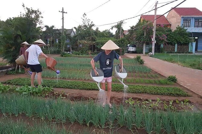 Coconut Jungle - Vegetable & Pottery Village- PRIVATE TRANSFER - What’s Included and What to Expect