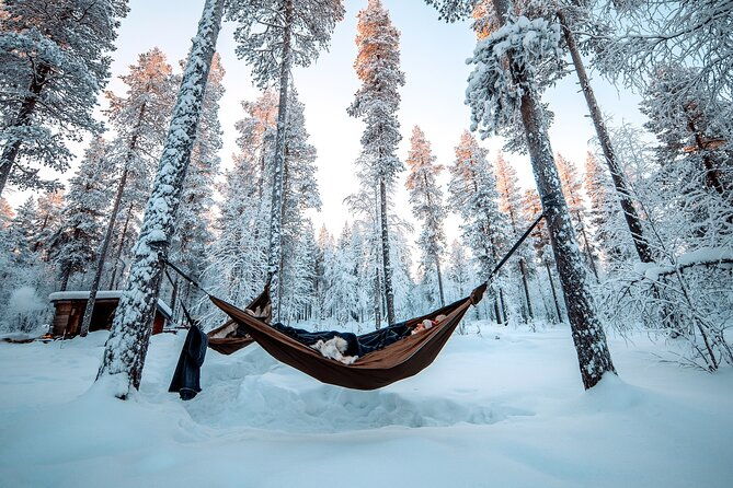 cocooning-in-the-halipuu-forest-the-ultimate-arctic-hammock-relaxation