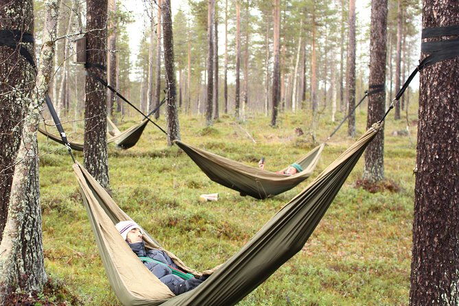 cocooning-in-the-halipuu-forest-the-ultimate-arctic-hammock-relaxation