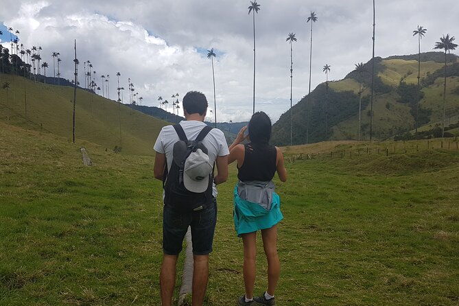 cocora-salento-and-filandia-the-daughter-of-the-andes-walking-tour-in-quindio