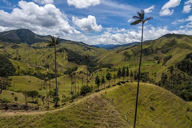 cocora-valley-and-salento-hike-tour-2