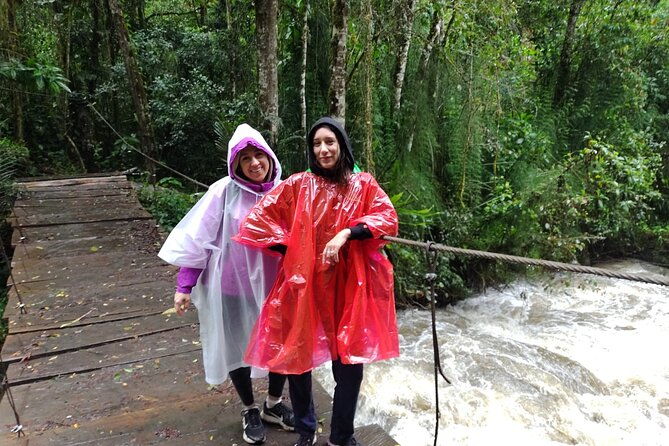 cocora-valley-and-salento-hike-tour-2