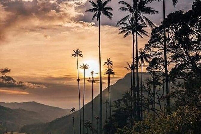 cocora-valley-and-salento-hike-tour
