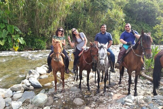cocora-valley-and-salento-horseback-riding-day-tour-2