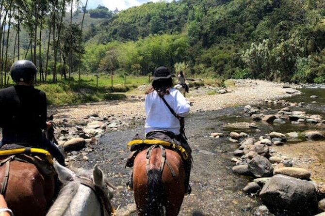 cocora-valley-and-salento-horseback-riding-day-tour-2