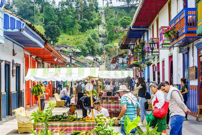 cocora-valley-and-salento-horseback-riding-day-tour-2