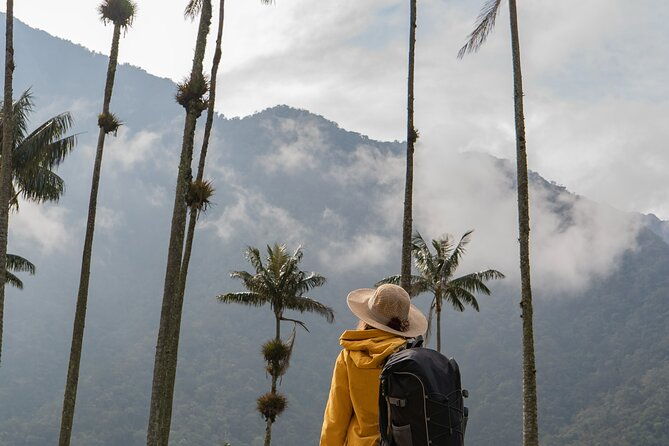 cocora-valley-and-salento-horseback-riding-day-tour-2