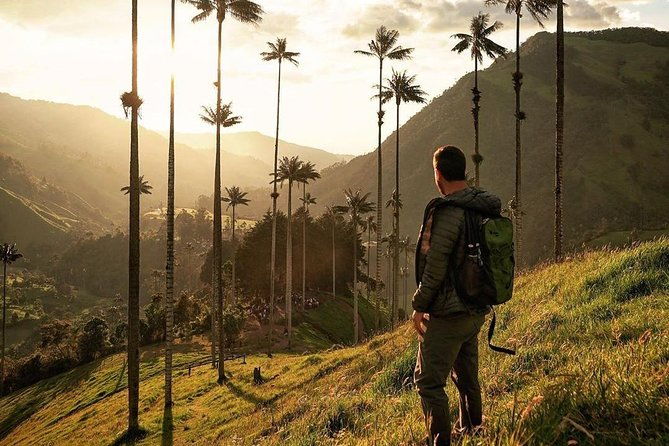 cocora-valley-and-santa-rita-waterfall-tour