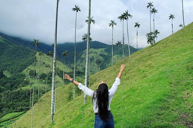 cocora-valley-and-santa-rita-waterfall-tour