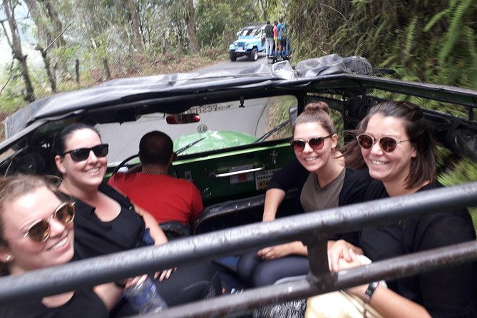 cocora-valley-birding-hiking-with-breakfast-lunch