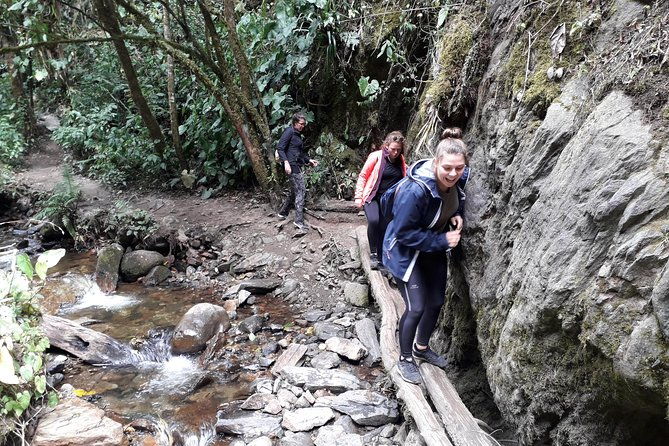cocora-valley-birding-hiking-with-breakfast-lunch