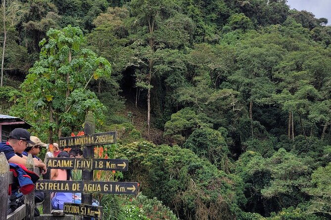 cocora-valley-birding-hiking-with-breakfast-lunch