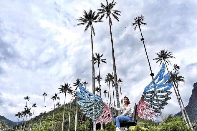 cocora-valley-salento-and-coffee-farm-day-tour