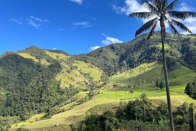 cocora-valley-shared-tour