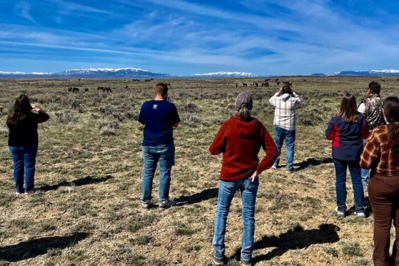 Cody: Red Canyon Wild Mustang Tour - The Value of the Experience