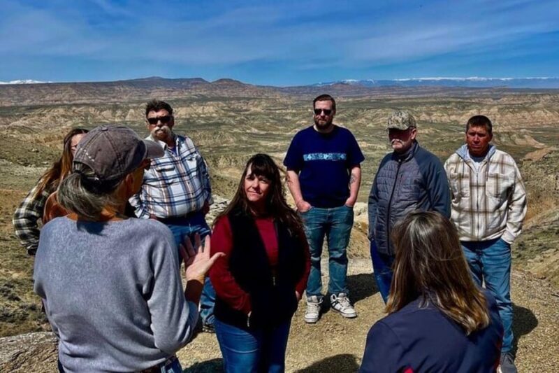 Cody: Wild Mustang Small Group Eco Tour - A Detailed Look at the Cody: Wild Mustang Small Group Eco Tour
