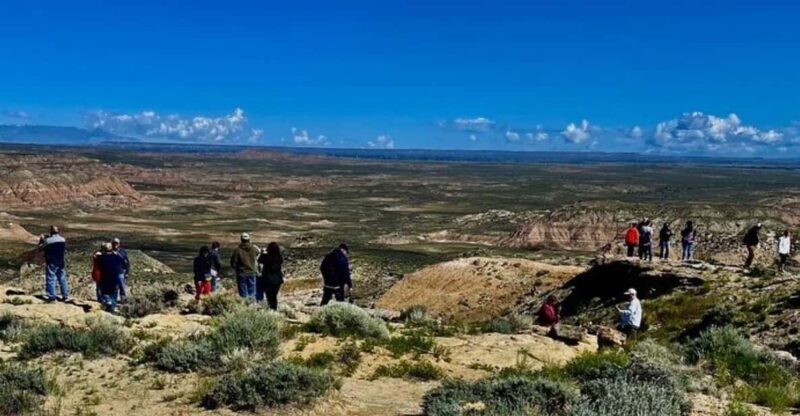 Cody: Wild Mustang Small Group Eco Tour - What Makes the Area Special?