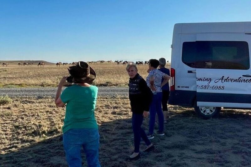 Cody: Wild Mustang Small Group Eco Tour - Wildlife and Other Sightings