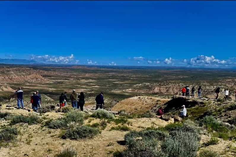 Cody: Wild Mustang Small Group Eco Tour - Practical Details: What to Bring and Consider