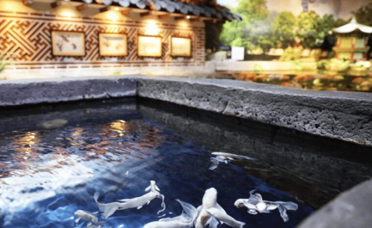 coex-aquarium-entry-ticket