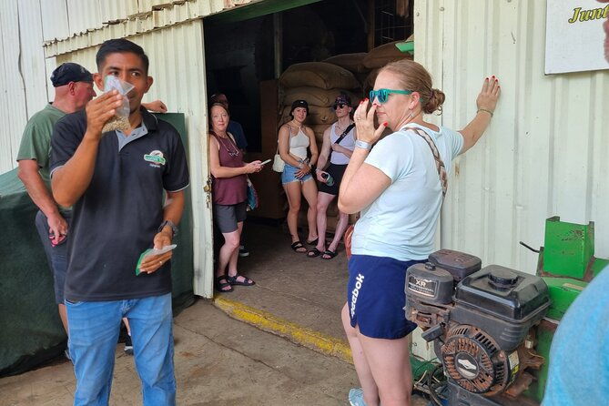 coffe-tour-and-chorotega-cultural-experience-on-the-blue-zone