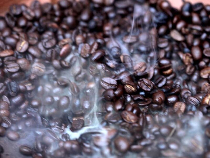 Coffee Ceremony, Organic Lunch Break, Mnemba Snorkeling - Marine Adventure: Snorkeling at Mnemba Island Atoll