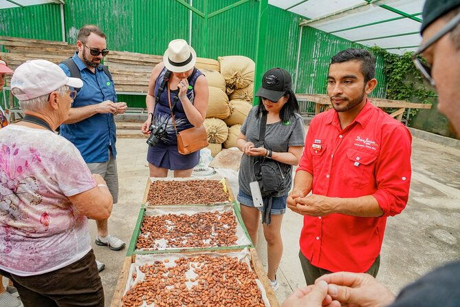 coffee-chocolate-sugar-cane-tour-regular