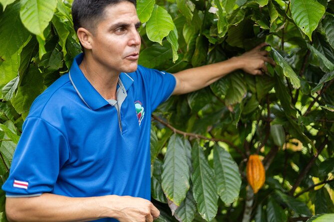 coffee-chocolate-toursloths-park-llanos-de-cortez-waterfall