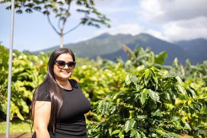 coffee-chocolate-toursloths-park-llanos-de-cortez-waterfall