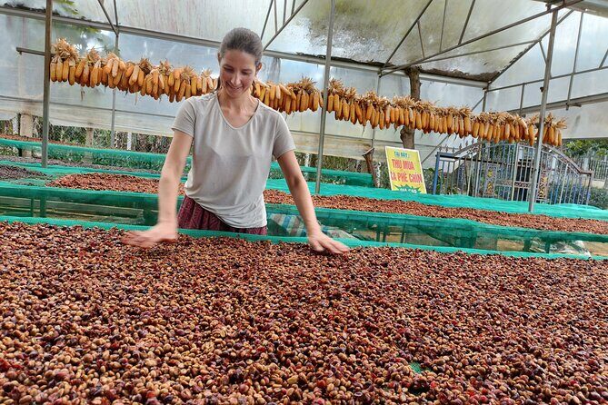 Coffee Experience _From Farm to Cup by Elon Farm - Who Will Love This Tour?