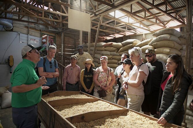 coffee-experience-and-poas-volcano-half-day-tour-from-san-jose