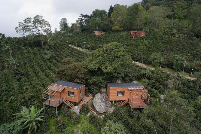 coffee-experience-at-la-palma-el-tucan