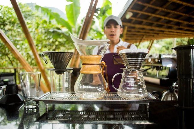 coffee-experience-at-la-palma-el-tucan