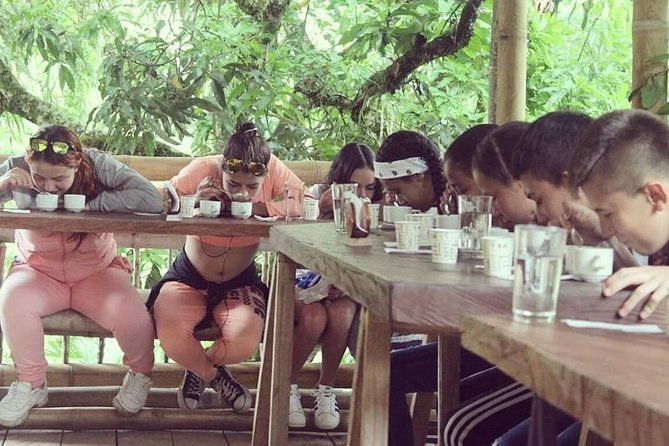 coffee-experience-finca-in-fredonia