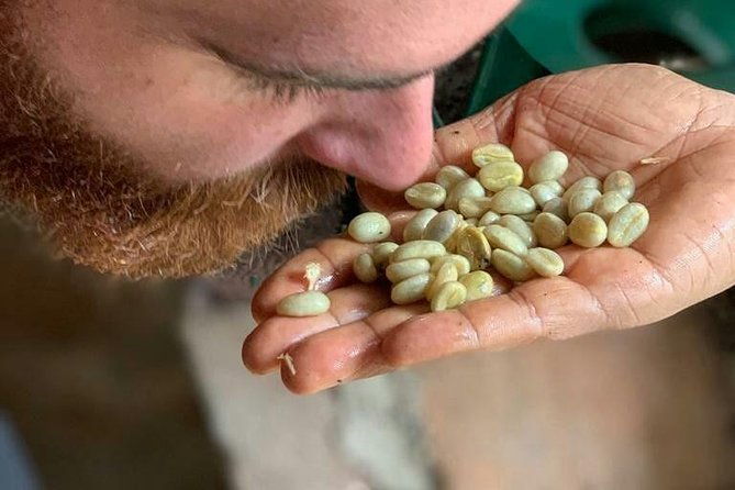 coffee-experience-finca-in-fredonia