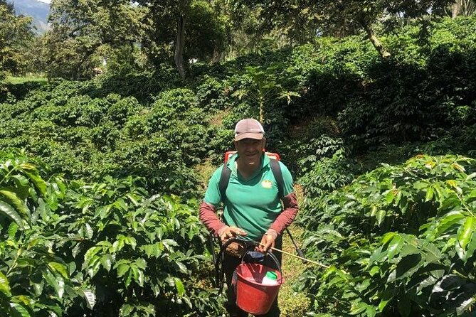 coffee-express-tour-medellin