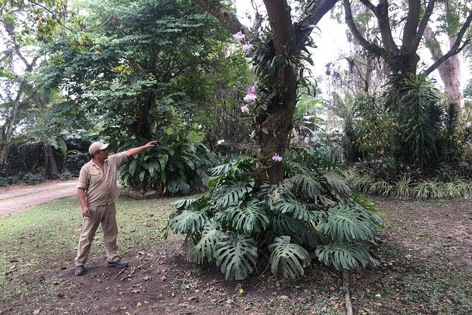 coffee-farm-experience-private-day-tour