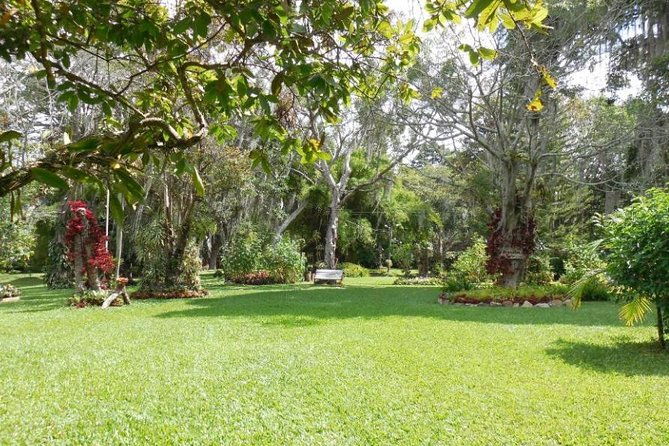 coffee-farm-experience-private-day-tour