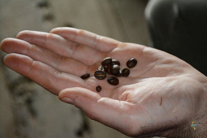 coffee-farm-group-tour-and-daily-departure