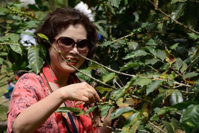 coffee-farm-group-tour-and-daily-departure