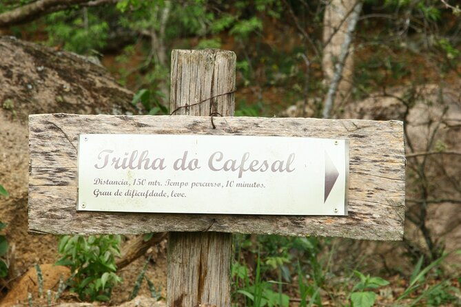 coffee-farm-tour-80-km-from-sao-paulo-and-breakfast-8-hours