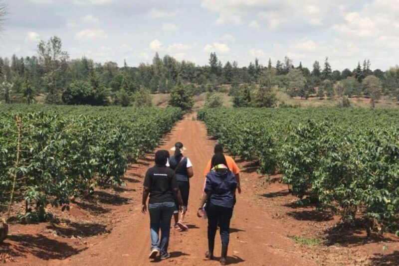Coffee Farm Tour & Barista Workshop near Nairobi - An Introduction to the Experience