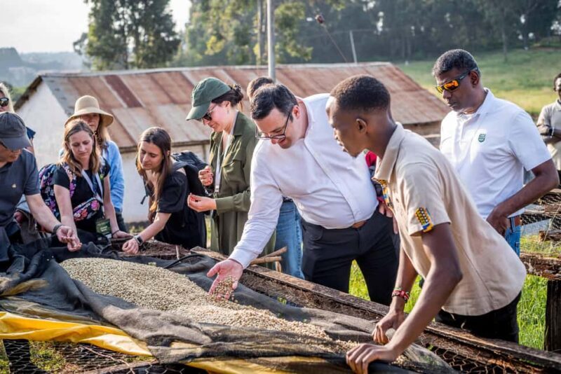 Coffee Farm Tour (Fairview) - Introduction