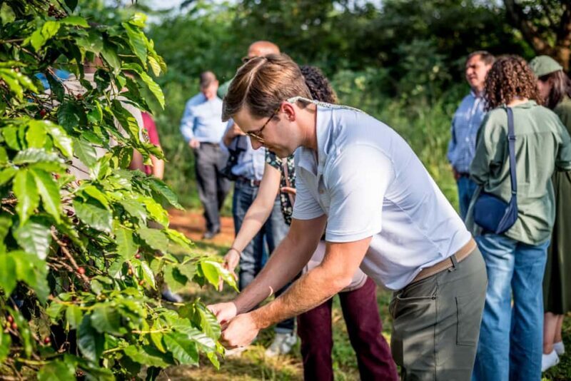 Coffee Farm Tour (Fairview) - Key Points