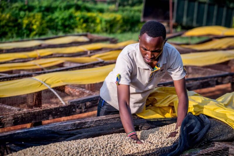 Coffee Farm Tour (Fairview) - Who Would Enjoy This Tour?