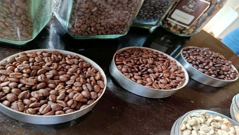 Coffee Farm Tour (Fairview) From Nairobi - Practical Tips for Travelers