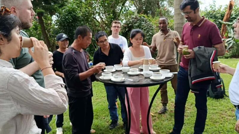 Coffee Farm Tour (Fairview) From Nairobi - The Sum Up