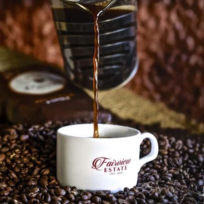 Coffee Farm Tour (Fairview) From Nairobi - FAQ