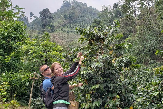 coffee-lovers-express-coffee-tour